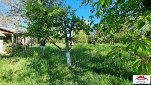 Teren intravilan strada Cimbrului zona Bercu Rosu - imagine 4