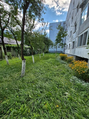 Apartament cu 3 camere, complet renovat în cartierul Mănăștur  - imagine 9