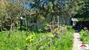 Casa cu teren 1500 mp zona Lucian Blaga
