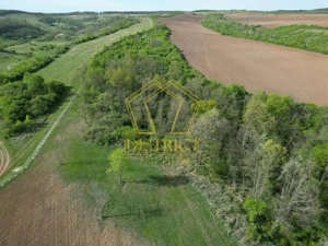 Casa de vacanta cu teren si padure de 3.8ha | Nadas | Herneacova - imagine 9