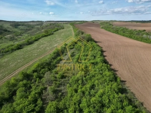 Casa de vacanta cu teren si padure de 3.8ha | Nadas | Herneacova - imagine 10
