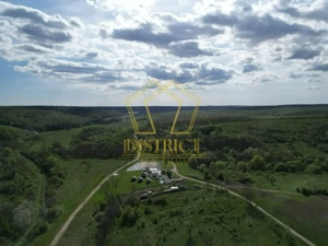 Casa de vacanta cu teren si padure de 3.8ha | Nadas | Herneacova - imagine 11
