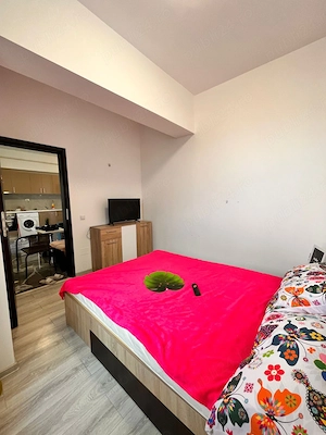 Apartament 2 camere opens-space, Nicolina, bloc nou - imagine 6