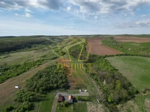 Casa de vacanta cu teren si padure de 3.8ha | Nadas | Herneacova - imagine 5