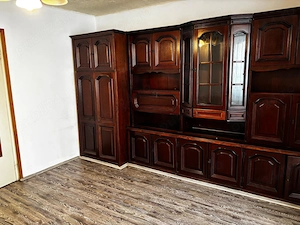 Apartament 1 camera, Dambu - imagine 4