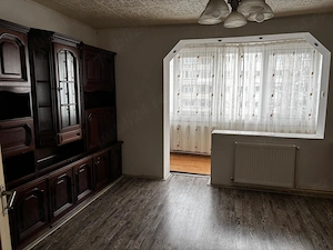 Apartament 1 camera, Dambu - imagine 5