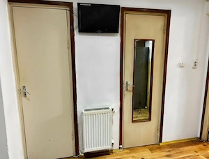 Apartament 1 camera, Dambu - imagine 3