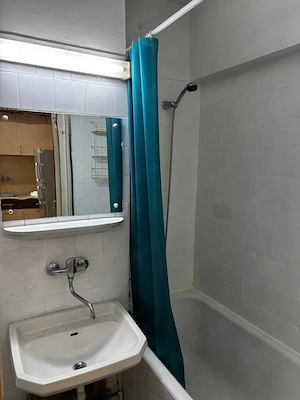 Apartament 1 camera, Dambu - imagine 7