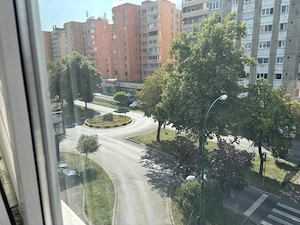 Apartament 1 camera, Dambu - imagine 8
