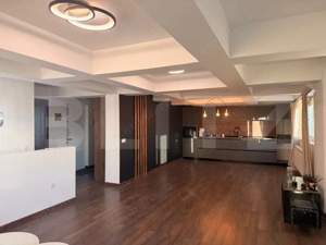 Apartament 5 camere, 171.9 mp, necesita renovare, Calea Severinului - imagine 5
