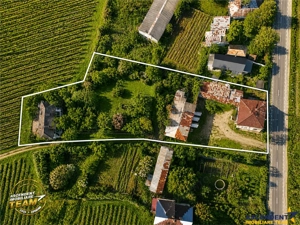 Proprietate unica in zona viticola Odobesti, Vrancea, casa boiereasca cu 4.000 mp de teren intravila - imagine 4