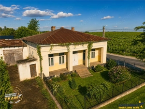 Proprietate unica in zona viticola Odobesti, Vrancea, casa boiereasca cu 4.000 mp de teren intravila - imagine 6