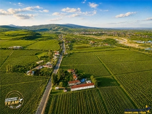 Proprietate unica in zona viticola Odobesti, Vrancea, casa boiereasca cu 4.000 mp de teren intravila - imagine 7