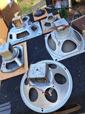 Difuzoare Alnico vechi anii50