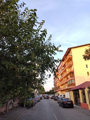 2 camere Floreasca Tei | 61 mp | Mobilat complet | 