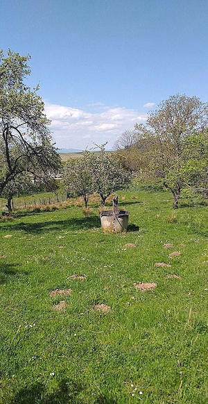 Casa de vanzare