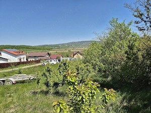 Teren intravilan (loc de casa) 