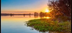 SISESTI teren. 5000mp iesire la LAC