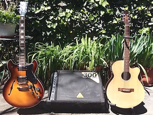 Vand  :Chitara Harley Benton Hollowbody, el.acustica Stagg, Monitor Activ BehringerEurolive F13220 D