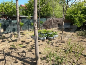 Casa P+1, 900 mp teren, zona Catargiu - imagine 6