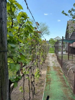 Casa P+1, 900 mp teren, zona Catargiu - imagine 5
