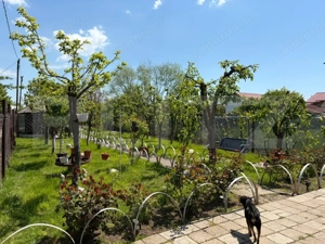 Casa P+1, 900 mp teren, zona Catargiu - imagine 8