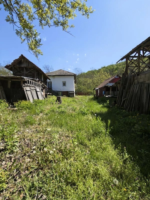Casa la tara de Vanzare! Zona de vis - imagine 4