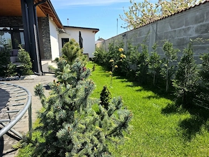 Casa 4 camere Proprietar - imagine 7