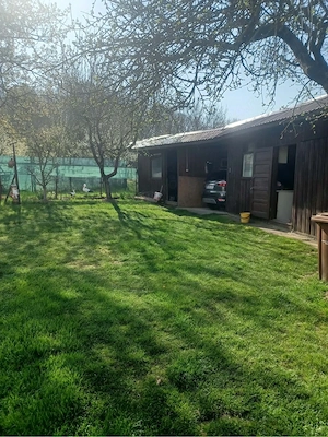 Casa la curte Livezeni Arges - imagine 5