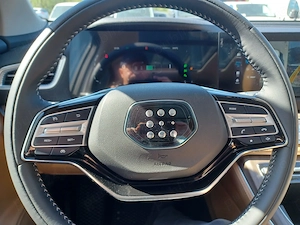 DFSK E5, Luxury, Automat, Plug-In Hibrid, PHEV, E-CVT, 7 locuri - imagine 4