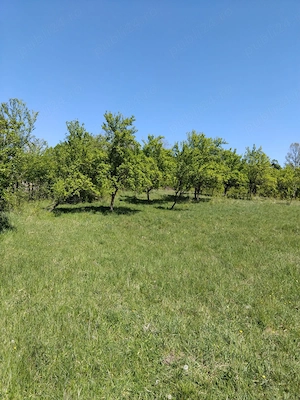 Teren de vânzare la intrare în orașul Novaci - imagine 2