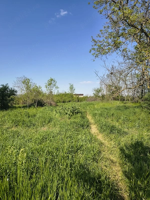 Vând teren de 2700 mp cu casă bătrânească - imagine 5