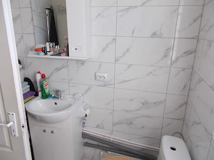 Casa, Parta, vatra satului, 2 camere, 96mp, teren 927mp, mobilata, utilata  - imagine 6