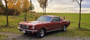 Ford Mustang Fastback 1966 V8 Automat