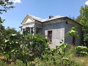 Vând Casa în Diosti, jud Olt cu teren 2500m2 - imagine 4
