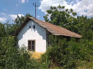 Vând Casa în Diosti, jud Olt cu teren 2500m2 - imagine 5