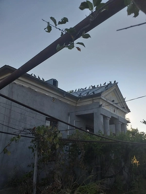 Vând Casa în Diosti, jud Olt cu teren 2500m2 - imagine 2