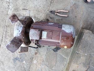 Motor electric trifazat