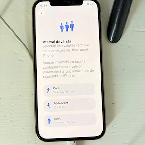 iphone 12 gold  - imagine 3
