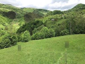 Proprietar, vând loc extravilan   35.000 mp (3,5 ha) în Lunca Pleșii (Sângeorz-Băi, BN) - imagine 6