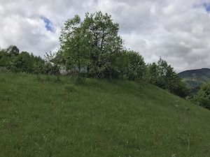 Proprietar, vând loc extravilan   35.000 mp (3,5 ha) în Lunca Pleșii (Sângeorz-Băi, BN) - imagine 4