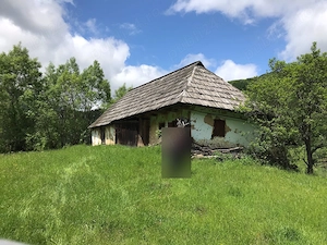 Proprietar, vând loc extravilan   35.000 mp (3,5 ha) în Lunca Pleșii (Sângeorz-Băi, BN) - imagine 7