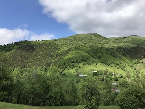 Proprietar, vând loc extravilan   35.000 mp (3,5 ha) în Lunca Pleșii (Sângeorz-Băi, BN) - imagine 2