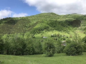 Proprietar, vând loc extravilan   35.000 mp (3,5 ha) în Lunca Pleșii (Sângeorz-Băi, BN) - imagine 3