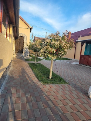 Casa de vanzare in Sat de vacanta Ant Comuna Avram Iancu  - imagine 6