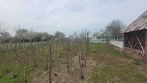 Casă de vânzare în satul Stoicești, comuna Bulzești, judetul Dolj - imagine 5