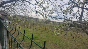 Casă de vânzare în satul Stoicești, comuna Bulzești, judetul Dolj - imagine 3