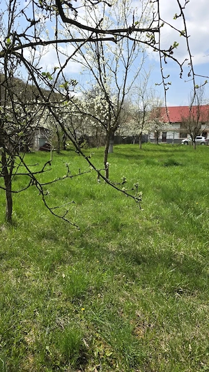 Teren intravilan 1048mp persoana fizica