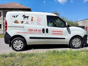 Fiat Doblo  - imagine 3