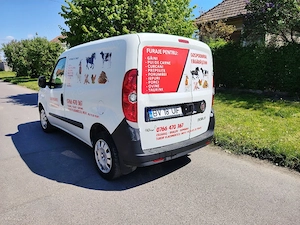 Fiat Doblo  - imagine 4